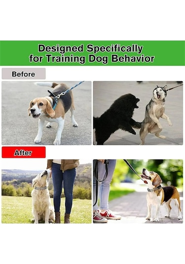 Dancemonkey Köpek Çivili Tasma, Pratik Tokalı Ve Uzunluk Ayarlı