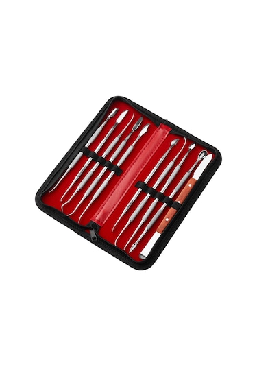 Teltree 10 Parçalı Paslanmaz Çelik Diş Mumu Oyma Seti - Taşıma Çantalı Çok Amaçlı Dental Araçlar