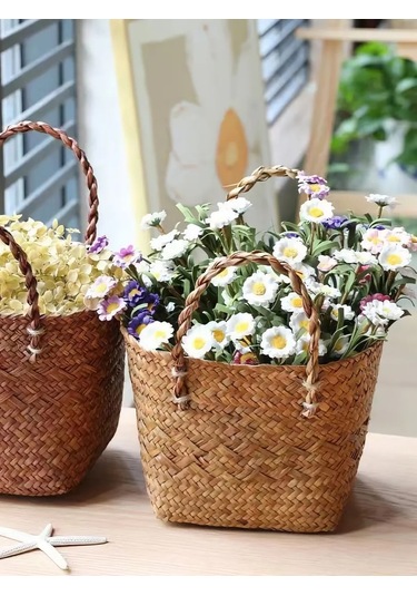 Home Set Ev Bitkileri İçin Saksı 284255663