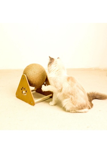 Suntek Kediler, Yavru Köpekler Ve Köpek Egzersizleri İçin Top