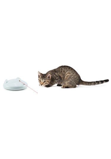 Petsafe frolicat clearance