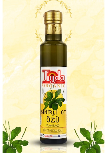 Sinirli Ot Özü Sinir Otu Plantago Hidrosolü 250 Ml %100 Saf