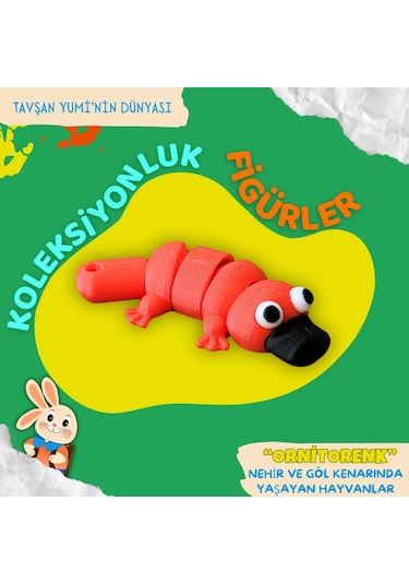 Tavşan Yumi Nehir Ve Göl Kenarında Yaşayan Hayvanlar Koleksiyonu- 4 Parça 5-7 Cm Hareketli Oyuncaklar Ve Bilgilendirici Kartlar "