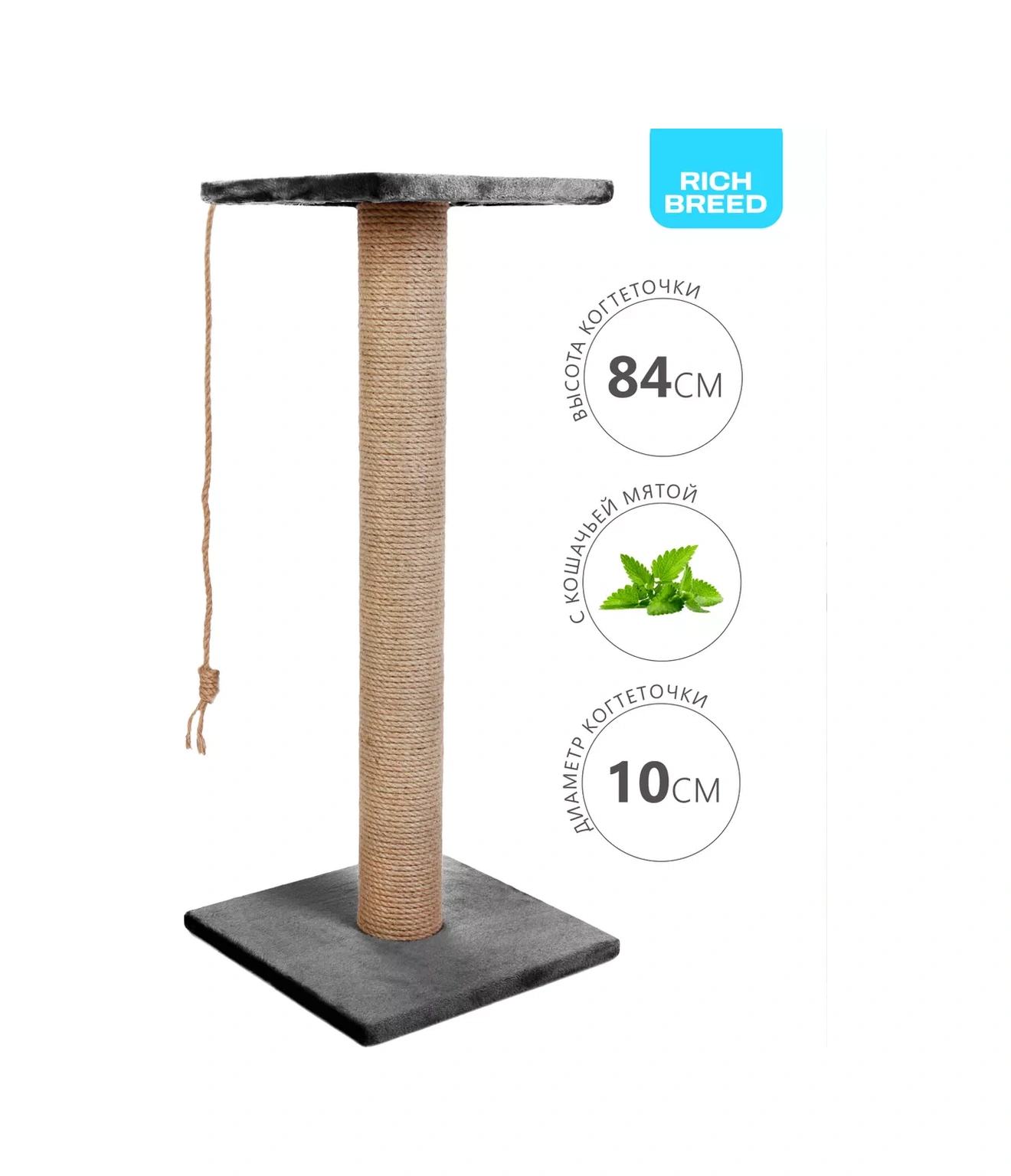 Rıch Breed Kedi Tırmalama Direği Masası Zeminli Dinlenme Yatağı 37408380