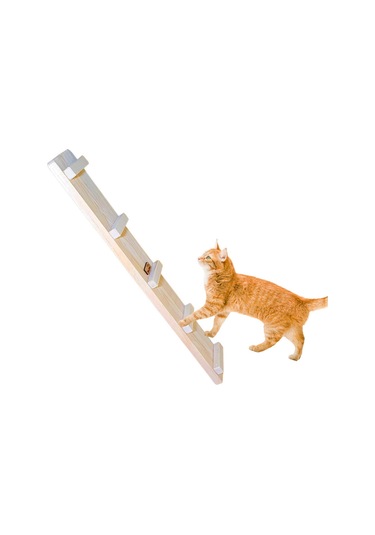 Barış Dizayn Doğal Ahşap Portatif Monte Edilebilir Tırmanma Tahtası 60 x 10 x 4 CM