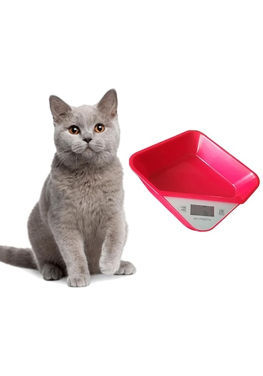 Homyl Dijital Pet Ölçeği Veteriner Hayvan Ağırlığı Köpek