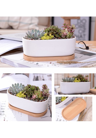 Jeehugo Beyaz Seramik Oval Sukulent Ve Kaktüs Saksısı, Bambü Tabaklı, Ev Ofis Masaüstü İçin, 2'li Set Saksı + Tabak , Bitki Yok