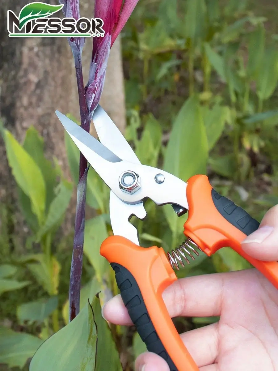 Messor Bahçe Makasları Mekanik, Şube Kesici Bahçe Ve Bitkiler İçin 85903336