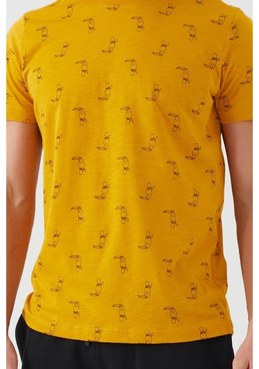 Arnetta Parrot Hardal Erkek Bermuda Takım 001