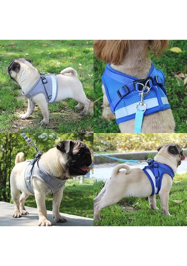 Geeroyoo Reflektif Poliester Köpek Yeleği, 1.2m Tasma İpi, Gümüş Gri, M Boyut, Güvenli Ve Konforlu Pet Aksesuarı Gri