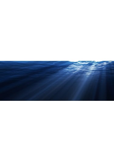 Kanki Pet  Akvaryum Arka Fon Yapıştırma  185x65 cm KP18565007