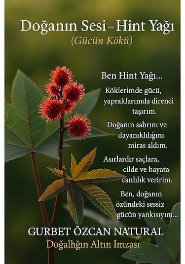 Hint Yağı %100 Saf Doğal Seyreltilmemiş 50 Ml Castor Oil