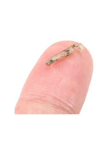 Kosona Balıkçı İğne Kalkanları - Kamuflaj Renk, Küçük Boy, 50 Adet - Balık İğnesi Dolaşmasını Engeller, Doğru Kanca Açısı Sağlar