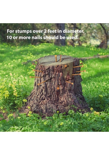 15 Adet Bakır Çivi Ağaç Kütüğü Kökünü Öldürmek İçin, 3.14 İnç