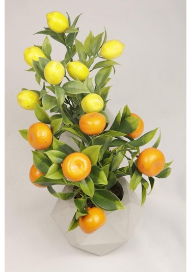Yapay Bitki Geometrik Beton Saksıda Dekoratif Limon Ve Portakal Ağacı Tanzimi Turuncu-sarı-beyaz