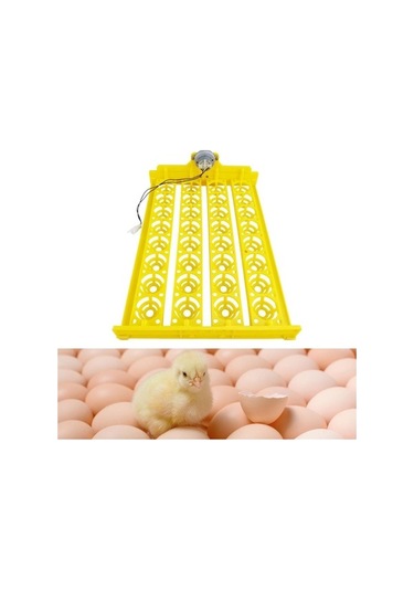Pazly Yumurta Yumurta Turner Tavuk Suntek Otomatik Makinesi Kuluçka Fr