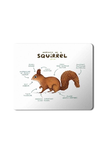 Sincap Anatomisi Squirrel Anatomy Baskılı Mousepad Mouse Pad