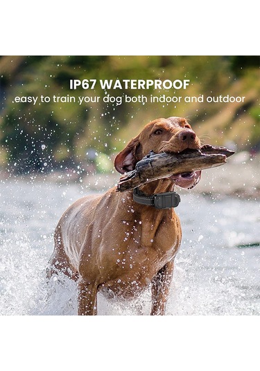 Uu0248 Bark Tasmasıuzaktan Kumandalı Köpek Eğitim Tasması Siyah