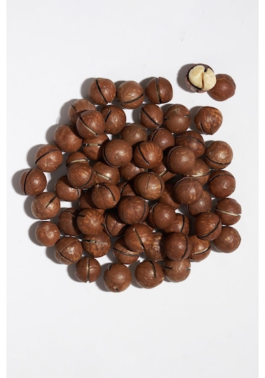 Kabuklu Kavrulmuş Makademya Fındığı 500 Gram 500 G