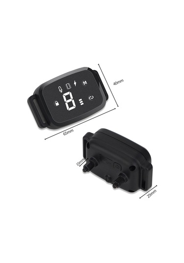 Homyl İç Mekan Oturma Odasında Çalıştırmak Için Köpek