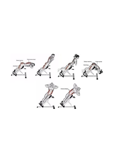 Proforce EMH12- 45 Derece Ters Mekik Sehpası