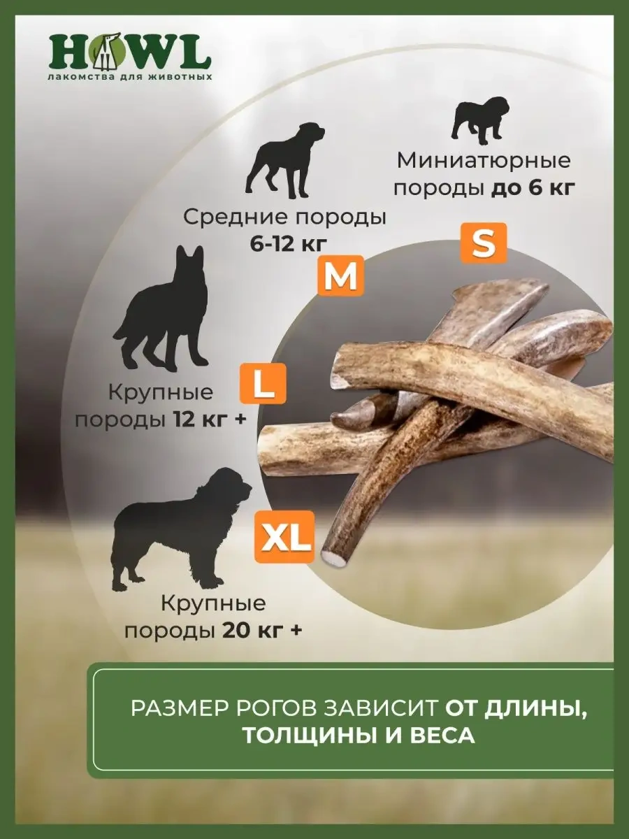 Howl Köpekler İçin Geyik Boynuzu M 80-110 G 74282202