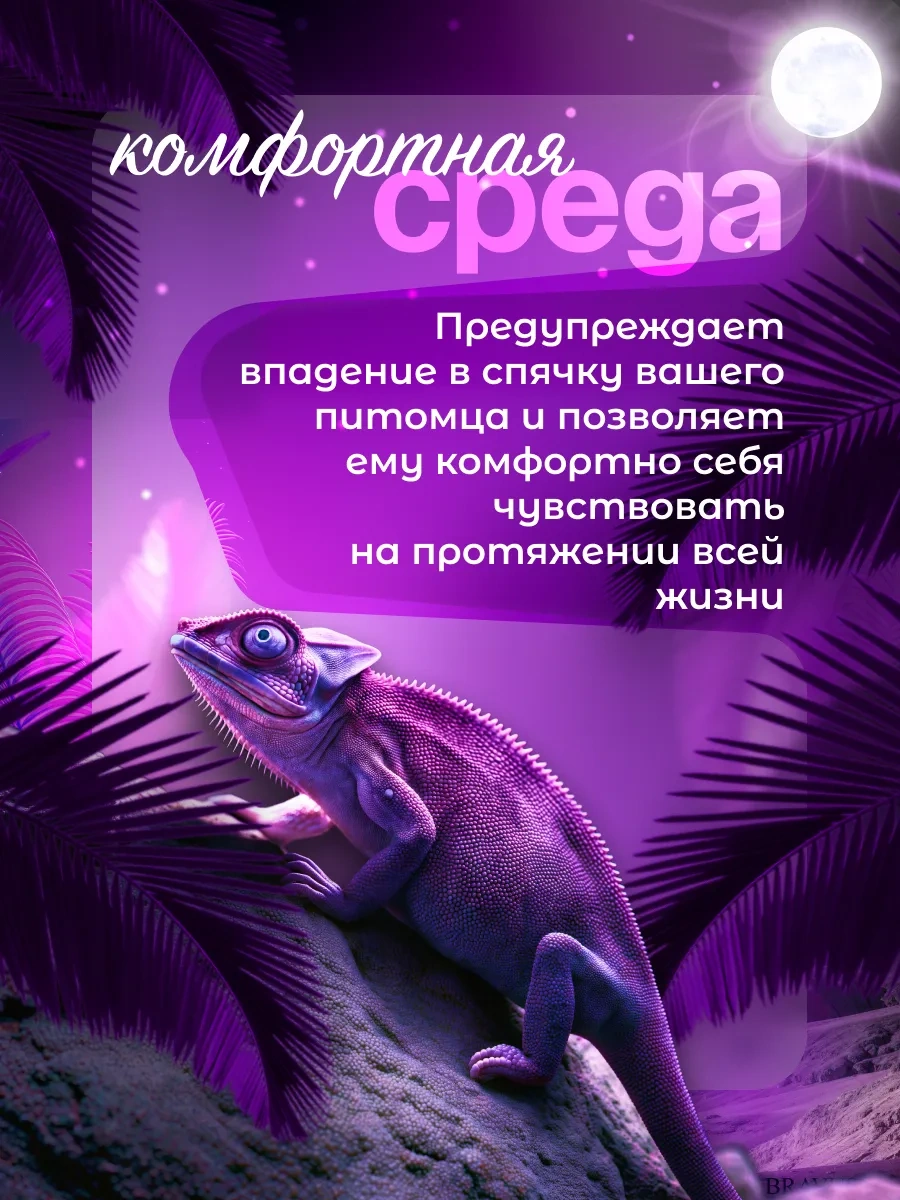 Bravus Terraryum Kaplumbağaları İçin 50w Fito Işıklı Gece Lambası 320422162