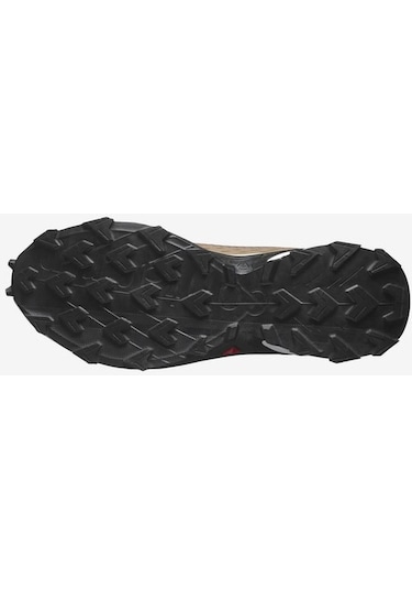 Salomon Alphacross 5 Erkek Koşu Ayakkabı - Kahverengi