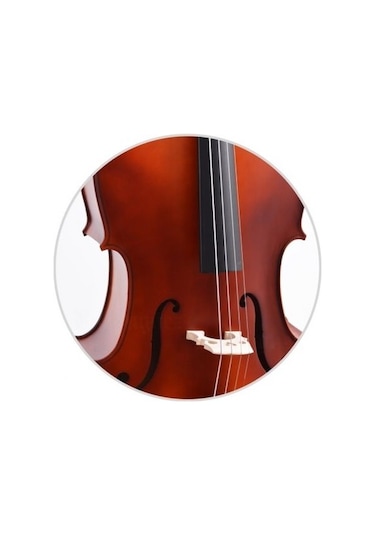 Çello viyolonsel Gül Dcr34nm