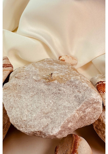 Taşlı Kobra Kıvrak Yılan Tasarım Gold Renk Stainless Steel Çelik Piercing Tragus Helix