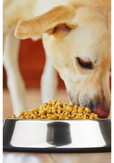 Noyiska Paslanmaz Çelik Metal Kedi Köpek Mama ve Su Kabı