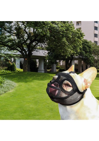 Homyl Ayarlanabilir Pet Köpek Dil-çıkartılmış-siyah-m