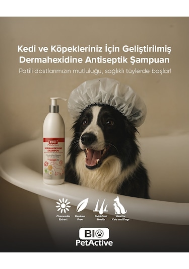 Bio Petactive Dermahexidine Antiseptik Kedi Şampuanı 250 ML