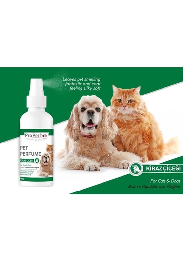 Pro Perfeck Kedi ve Köpek Kiraz Çiçeği Parfüm 100 ML