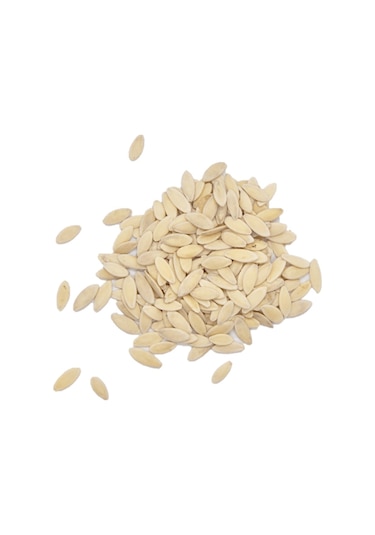 Sanita Salatalık Tohumu 1 KG