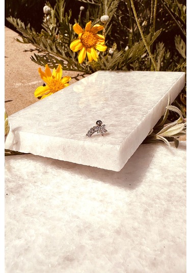 Star Sıra Yıldız Tasarım Zirkon Taşlı Şık Gümüş Renk Çelik Piercing Tragus Helix Stainless Steel Gümüş