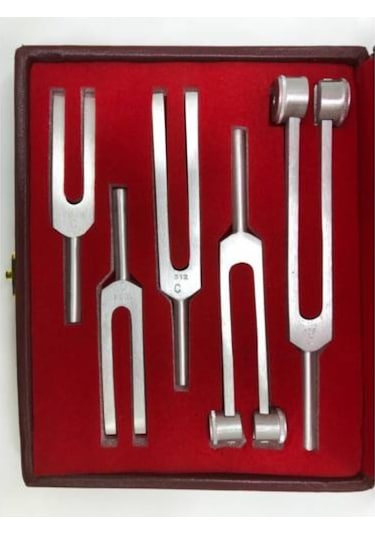Vzn 5'li Diapozon Set Frekans 128, 256, 512, 1024, 2048 Diyapozon