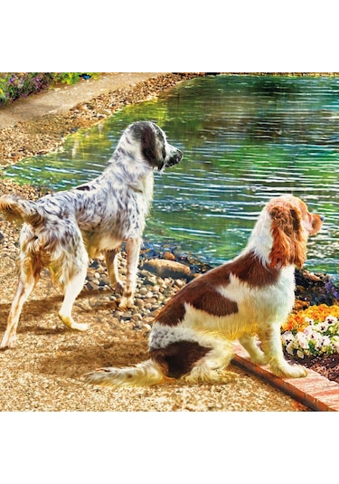 Ks Games 2000 Parça Tekne Ve Sevimli Köpekler Puzzle - Angelo Bonito