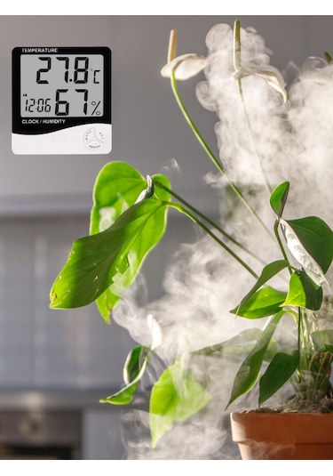 5 Adet Dijital Termometre Sıcaklık Ve Nem Ölçer Masa Saati Alarm