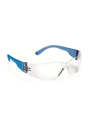 Lionsteknik2 Viola Valente Cross 603 Şeffaf Gözlük