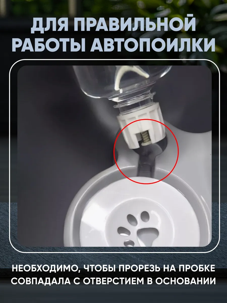 Rnb4pets Kediler Ve Köpekler İçin Çiftli Otomatik Sulama Bardakları 375965838