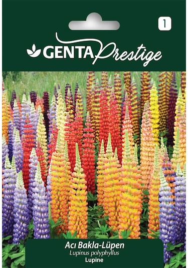 Genta - Renkli Lüpen Çiçek Tohumu Acı Bakla Lupinus