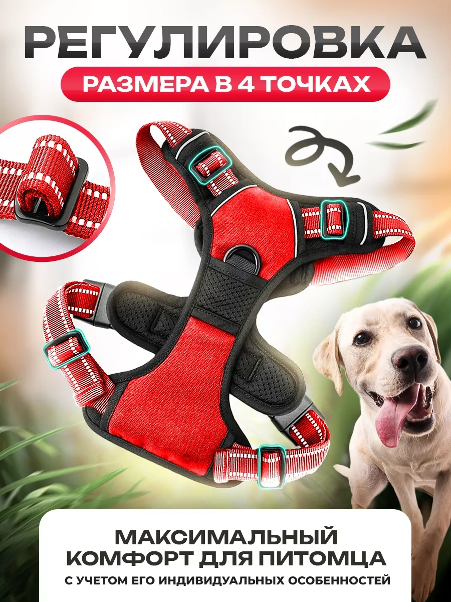Petfort Orta Ve Büyük Irk Köpekler İçin Anatomik Koşu Kayışı 175588727 Kırmızı