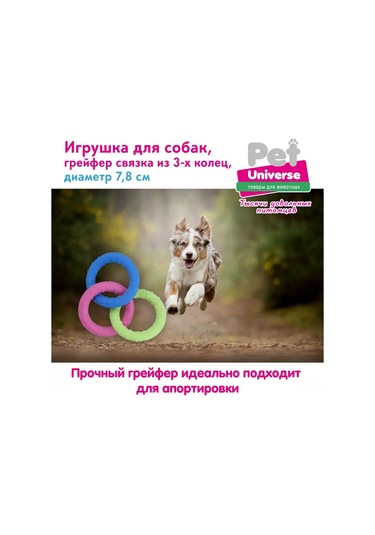 Pet Universe Köpekler İçin Oyuncak Halka Set 3 Adet Pu3066 236420437