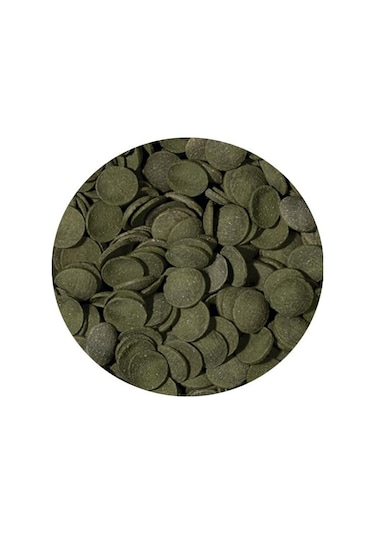Tropical Green Algae Wafers 250 G Kovadan Bölme