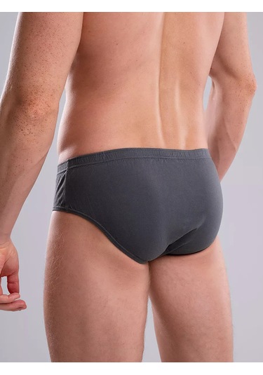 Clever Wear Pamuklu Slip Külot 13464335 Koyu Gri