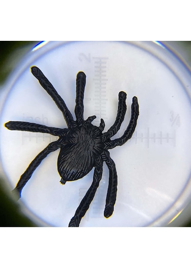 Suntek Böcek Gözlem Kutusu Erken Eğitici