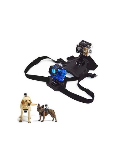 Pazly Köpek Göğüs Kayışı - Gopro Hero Uyumlu, Ayarlanabilir Spor Kamera Aksesuarı, Siyah, 7-54 Kg Köpeklere Uygun