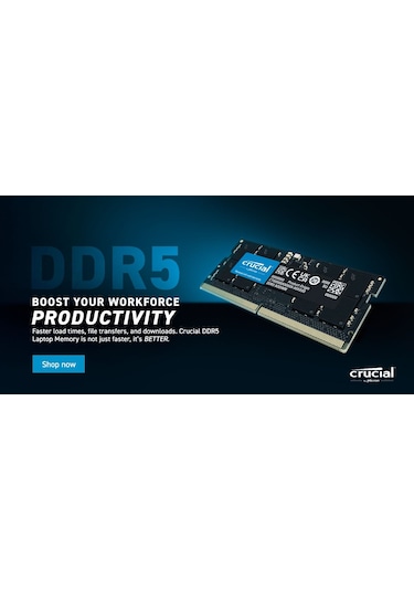 Crucial CB16GS4800E 16 GB DDR5 4800 MHz CL40 Ram