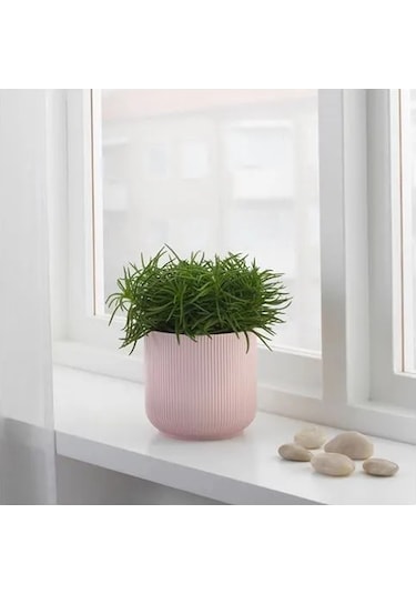Sumuhome Gradvıs Seramik Saksı Pembe 12 Cm